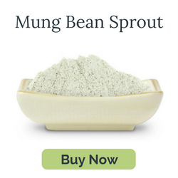 organic raw mung bean sprout powder